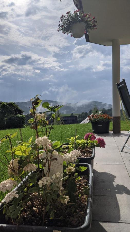Club Dres Apartment Bockau ภายนอก รูปภาพ